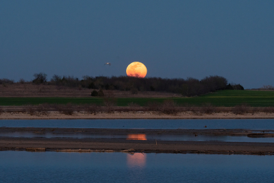 Full-moon-rising-over-trees-on-lake-shore-03