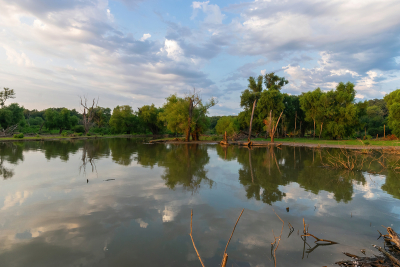 Trees and clouds reflected on the smooth water of a lake