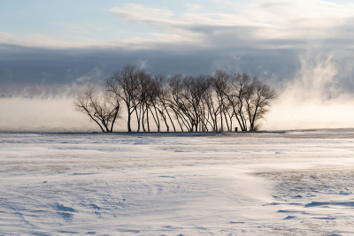 Snow-blowing-over-lake-beyond-bare-trees-on-shore-01