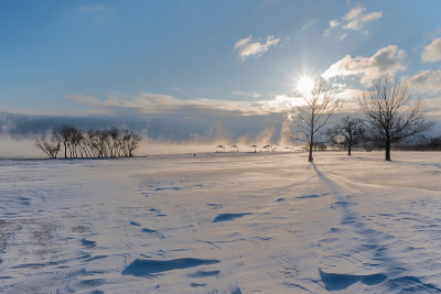 Snow-covered-park-on-lake-shore-05