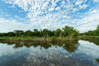 Clouds and trees on shore reflecting on glassy surface of lake