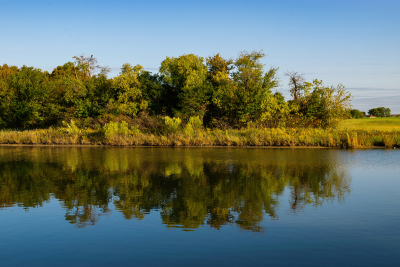 Trees beginning to change colors reflected in calm pond